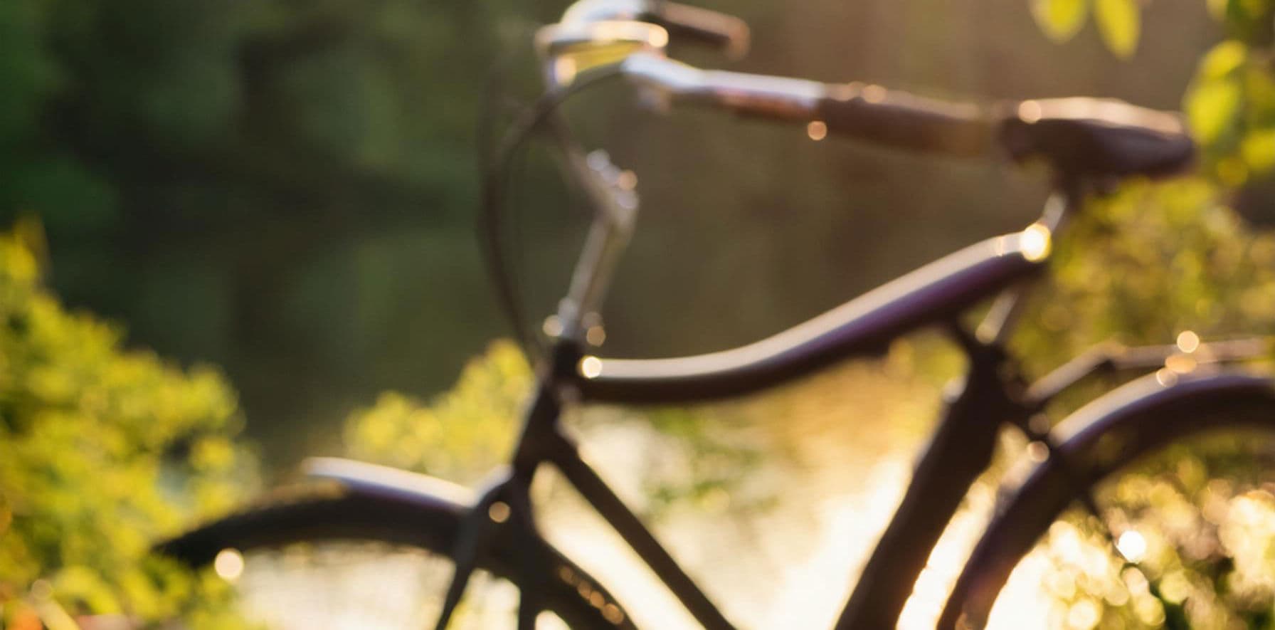 Cycling holidays at the Mosel – Perfect base for bike tours and nature trips